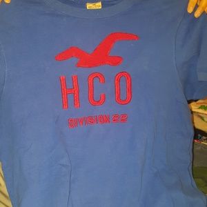Hollister tee